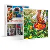 Smartbox Coffret Cadeau - Atelier écologique de permaculture et visite...