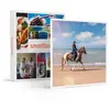 Smartbox - Journée de balade, randonnée à cheval ou cours d'équitation...
