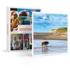 - Coffret Cadeau 1 activité équestre d'environ 1h pour 2 personnes-Spo...