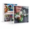 - Coffret Cadeau Dîner gastronomique : 4 à 7 plats avec boissons à sav...