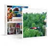 - Coffret Cadeau Saut à l'élastique de 45 mètres au viaduc Saint-Georg...