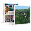 - Coffret Cadeau Saut à l'élastique en tandem au viaduc de Saint-Georg...