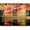 Coffret Cadeau SMARTBOX - Découverte en famille des Bassins des Lumièr...