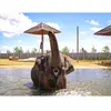 Coffret Cadeau - Tanière Zoo Refuge : immersion avec les carnivores ou...