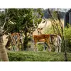 Coffret Cadeau - Tanière Zoo Refuge : immersion avec les herbivores po...
