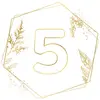Smartbox Coffret Cadeau - Noces de bois : joyeux 5e anniversaire de ma...