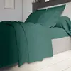 Drap plat Influence Percale Dodo