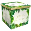 Non communiqué urne carton anniversaire tropical party 20cm vert - sud trading cd5527b