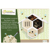 Clairefontaine Kit créatif Avenue Mandarine Hôtel à insectes à construire