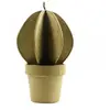 Clairefontaine Cactus boule - 20 cm