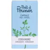 Recharge jardin d'intérieur PRET A POUSSER CORIANDRE