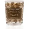 Element Terre - Oxygène Bougies 200 g unisex
