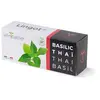 VERITABLE Véritable Lingot Basilic Thaï Bio pour potager d'intérieur