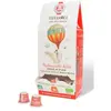 Capsules TERRA MOKA x60 ADELE compostable