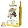 TERRAMOKA Capsules compatibles Nespresso - Oscar - x15