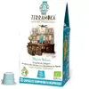 TERRAMOKA Capsules compatibles Nespresso décaféiné - Nelson - x15