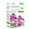Flora natura échinacée bio 20 ampoules