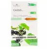 Flora natura cassis articulations & drainage bio 20 ampoules 15ml