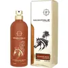 Montale Parfum Arabian Musk Vapo 100ml
