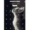 Non communiqué Calendrier de l'avant ou de l'après mon chat et moi noir et blanc 25 astuces et jeux sans objet