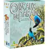 Origames Oiseaux De Paradis