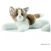 Anima Peluche Chaton Roux/Blanc Couché 30 Cm Anima