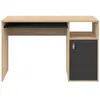 Temahome - Bureau 1 porte 115x50x75,5 cm chêne et noir