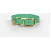 Collier pour Chien