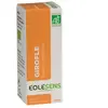 Eolesens Huile essentielle girofle (clou)* 10 ml