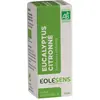 Eolésens Huile Essentielle Eucalyptus Citronné Bio 10ml