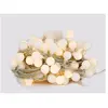 SYSLED Guirlande led 10 mètres 100 boules blanc chaud ( guinguette )