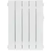 UNIV R CHF Radiateur électrique - Céramique - Eden - 1000W