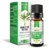 Dayang Huiles Essentielle Arbre à Thé 10ml