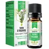 Dayang Thym à Thujanol Bio 5ml