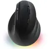 Bluestork Ergo Lumi Noir