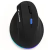 Souris Bluestork Ergo Lumi Pro Bluetooth RF 4800 DPI Noir RGB