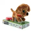 Peluche filoguidée Noisette marche avec moi !