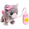 Pioupiou et Merveilles Peluche Filoguidée Chat - Moustache Marche Avec Moi Gris