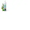 CAMYLLE Parfum de Spa à base d'huiles essentielles d'Eucalyptus et Menthe 500 ml