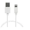 Urban Factory cable Lightning - Lightning / USB - 80 cm