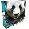 Jeu classique Matagot Extinction Panda