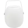 LUMISKY Lampe musicale d'extérieur avec haut parleur - 21 x 21 x 31 cm