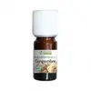 Propos' Nature Aroma-Phytothérapie Huile Essentielle Gingembre Bio 5ml