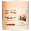 Evoluderm Shampoing Délice de Karité (500 ml)