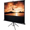 Lumene ARCADIA 200C écran de projection 199,9 cm (78.7") 16:9