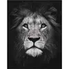 Figured'Art Peinture par Numéro Adulte Tête de lion en noir et blanc - Activité Manuelle Kit de Loisir Créatif DIY Numéro d'Art Complet - 40x50cm sans châssis en bois