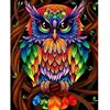 Figured'Art Peinture par Numéro Adulte Hibou coloré - Kit de Loisir Créatif DIY Numéro d'Art - 40x50cm sans châssis