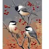 Figured'Art Peinture par Numéro Adulte avec Cadre Oiseaux et Arbre Fruitier - Activité Manuelle Kit de Loisir Créatif DIY Numéro d'Art Complet - 40x50cm toile tendue sur châssis