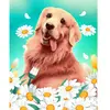 Peinture au numéro : Golden Retriever  - toile tendue sur châssis