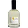 Til - L'huile Qui Enchante Huile Sèche Nutritive Embellissante 100ml